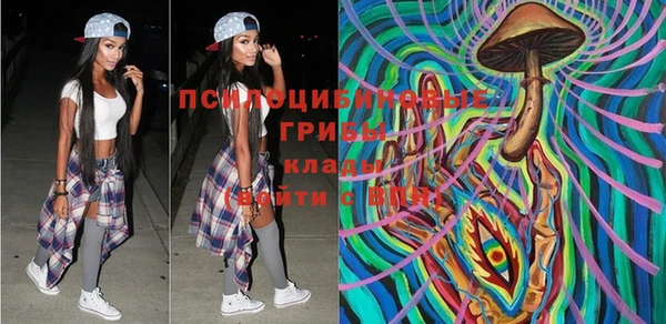 прущие грибы Балахна