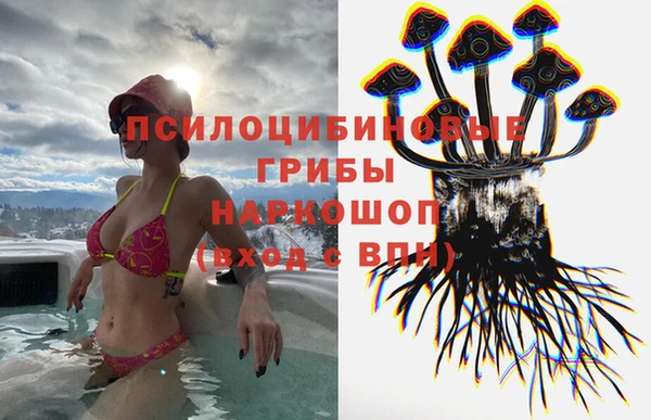 ПСИЛОЦИБИНОВЫЕ ГРИБЫ Балабаново