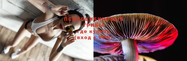 прущие грибы Балахна