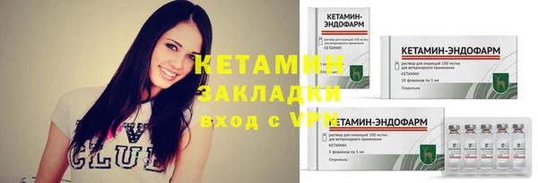 прущие грибы Балахна