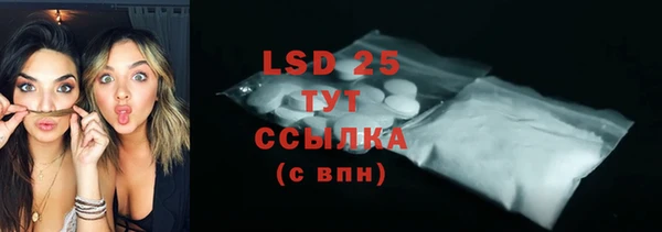 прущие грибы Балахна