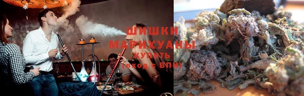 прущие грибы Балахна
