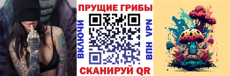 Галлюциногенные грибы MAGIC MUSHROOMS  где купить   Волгореченск 